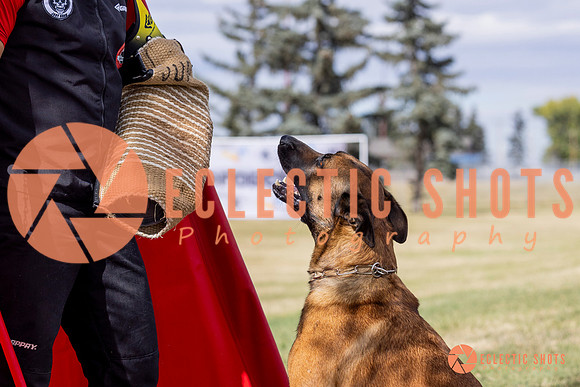 2025K9ForceCup-5460