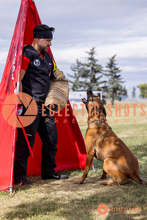 2025K9ForceCup-5463