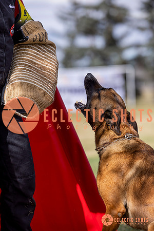 2025K9ForceCup-5464