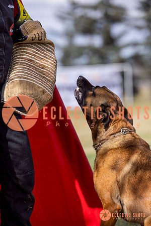 2025K9ForceCup-5465