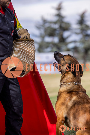 2025K9ForceCup-5482