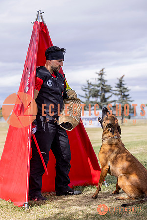 2025K9ForceCup-5495