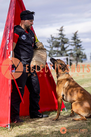 2025K9ForceCup-5510