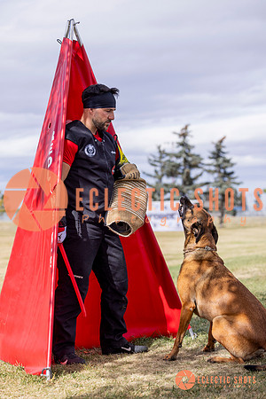2025K9ForceCup-5496