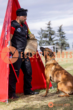 2025K9ForceCup-5511