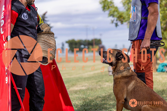 2025K9ForceCup-5524