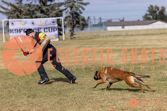 2025K9ForceCup-5552