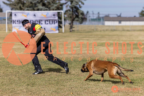 2025K9ForceCup-5553