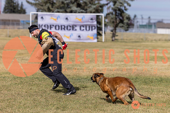2025K9ForceCup-5556