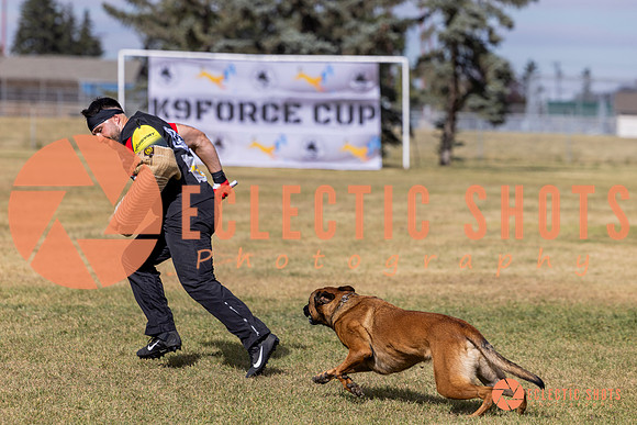 2025K9ForceCup-5557