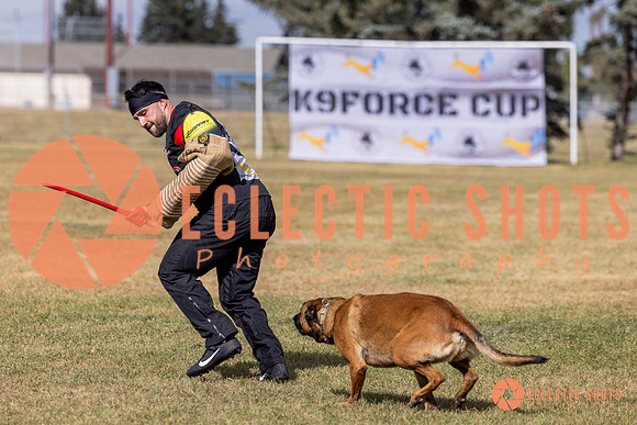 2025K9ForceCup-5560