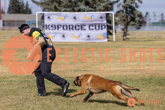 2025K9ForceCup-5558