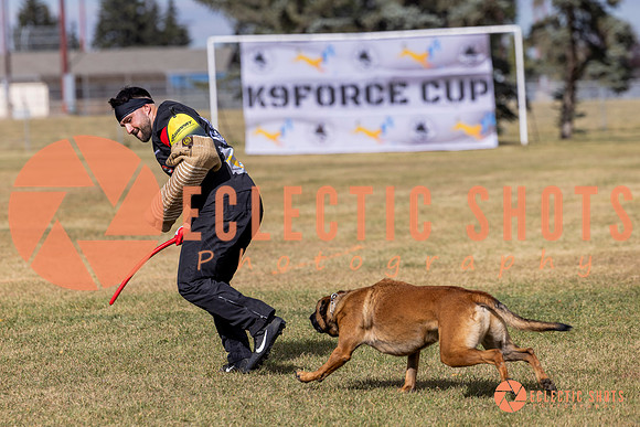 2025K9ForceCup-5559