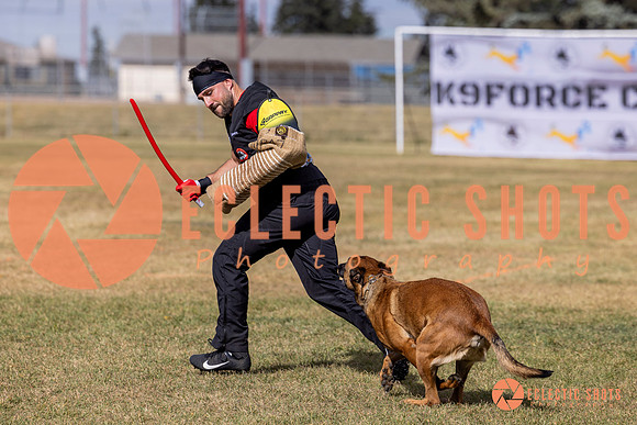 2025K9ForceCup-5562