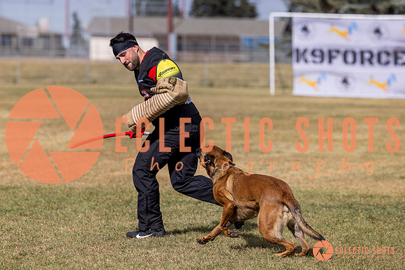 2025K9ForceCup-5563