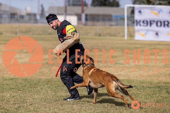 2025K9ForceCup-5564