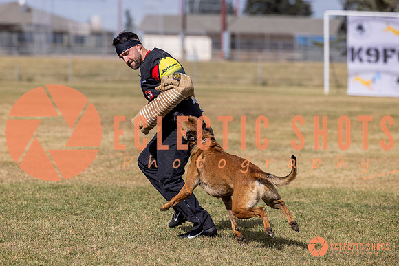 2025K9ForceCup-5565