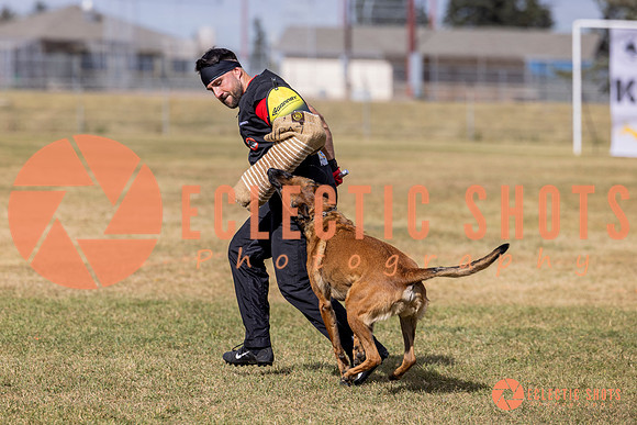 2025K9ForceCup-5566