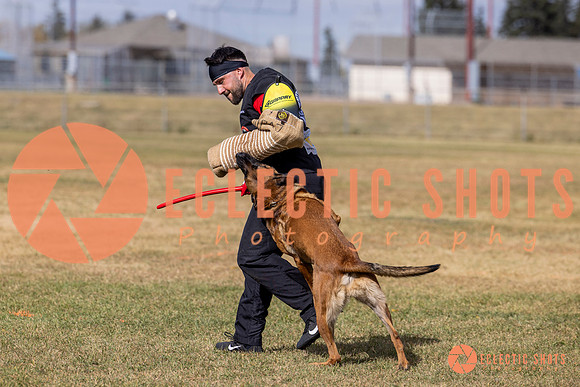 2025K9ForceCup-5568