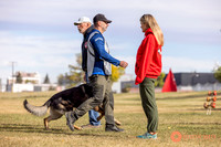 2025K9ForceCup-3577
