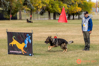 2025K9ForceCup-3604