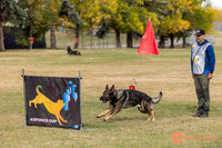 2025K9ForceCup-3605