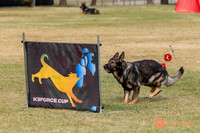 2025K9ForceCup-3607