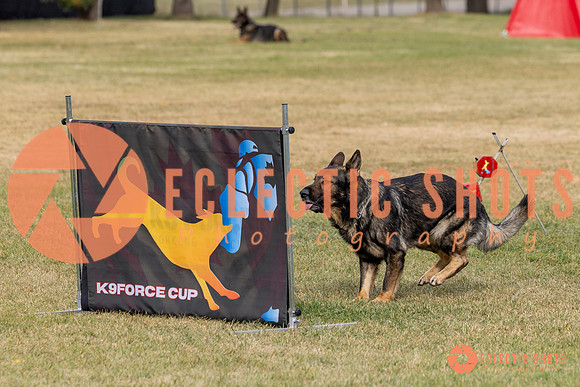 2025K9ForceCup-3607