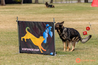 2025K9ForceCup-3608