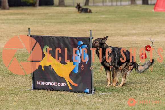 2025K9ForceCup-3608