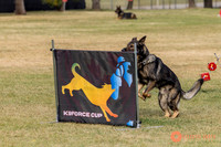 2025K9ForceCup-3609