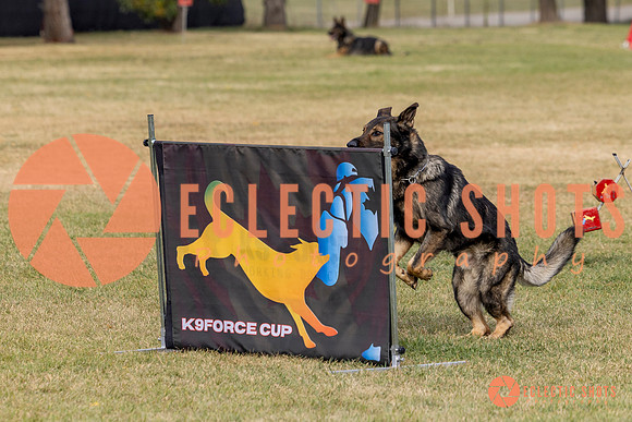 2025K9ForceCup-3609