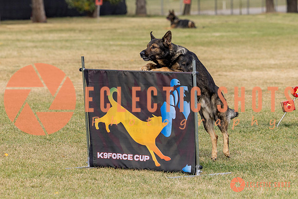 2025K9ForceCup-3611