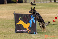 2025K9ForceCup-3610