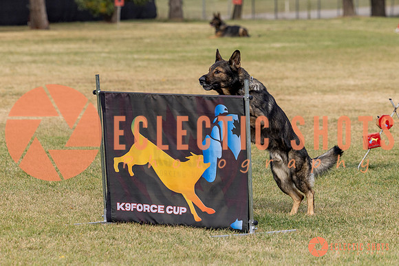 2025K9ForceCup-3610