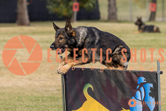 2025K9ForceCup-3615