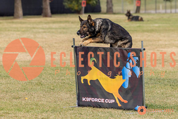 2025K9ForceCup-3614