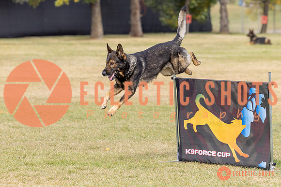 2025K9ForceCup-3619