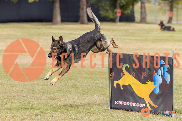 2025K9ForceCup-3620