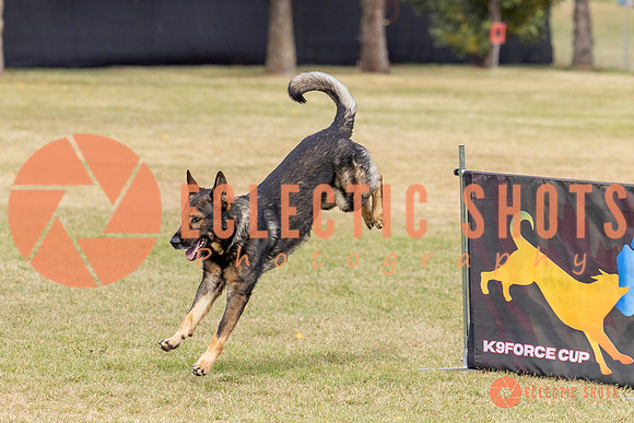 2025K9ForceCup-3622