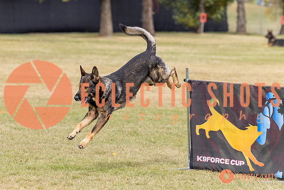 2025K9ForceCup-3621