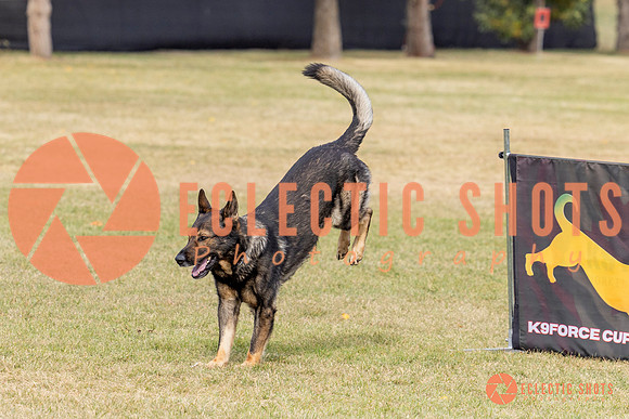 2025K9ForceCup-3623
