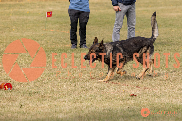2025K9ForceCup-3640