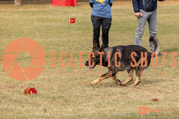 2025K9ForceCup-3642