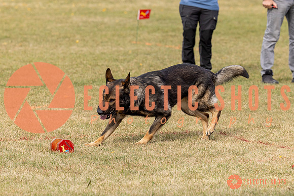 2025K9ForceCup-3646