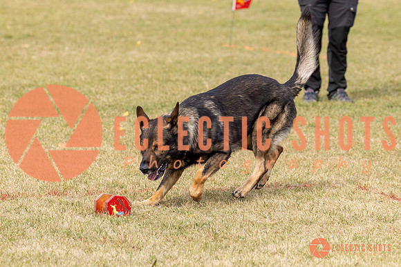 2025K9ForceCup-3648