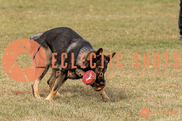 2025K9ForceCup-3662