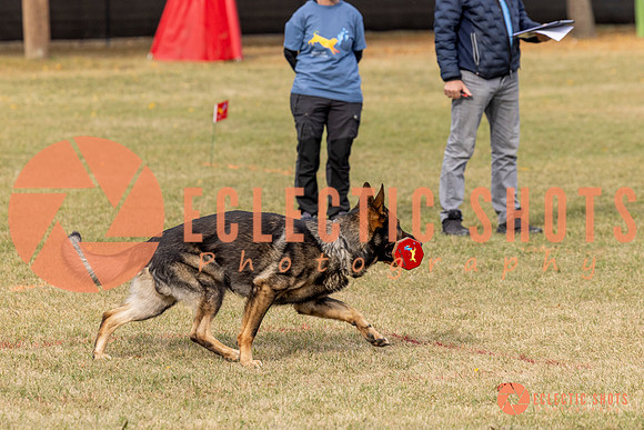 2025K9ForceCup-3666