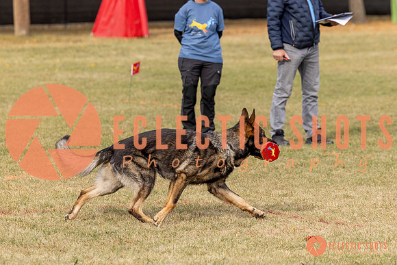 2025K9ForceCup-3667