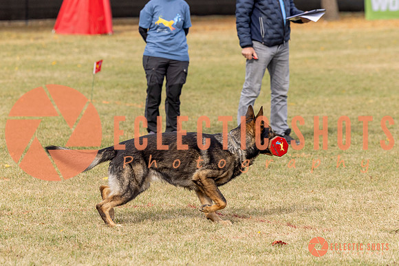2025K9ForceCup-3669